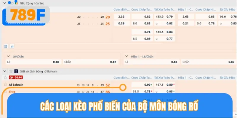 Các loại kèo phổ biến của bộ môn bóng rổ Các loại kèo phổ biến của bộ môn bóng rổ
