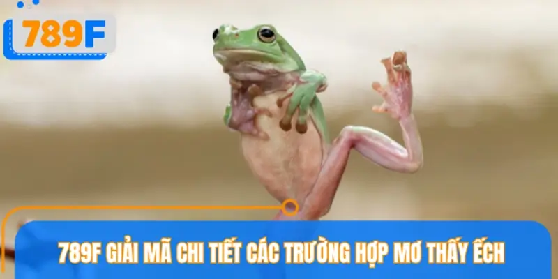 789F Giải mã chi tiết các trường hợp mơ thấy ếch thường gặp