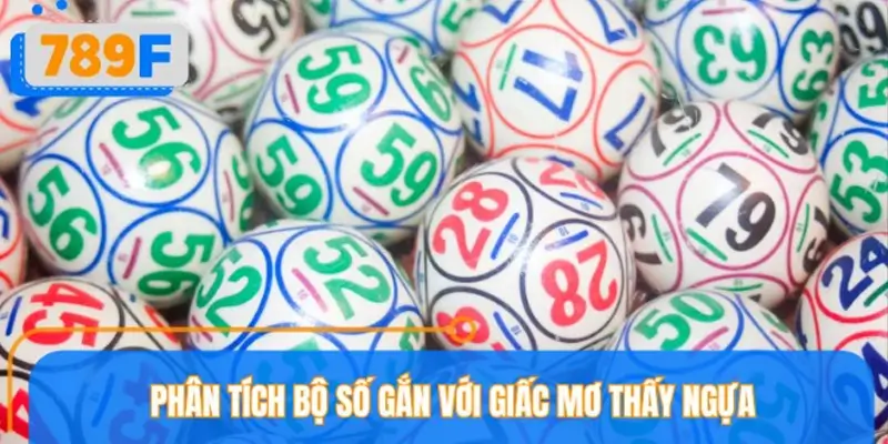 Các con số liên quan giấc mơ thấy ngựa dễ gặp may Các con số liên quan giấc mơ thấy ngựa dễ gặp may