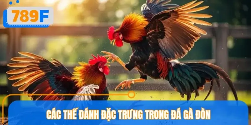 Các thế đánh đặc trưng trong đá gà đòn