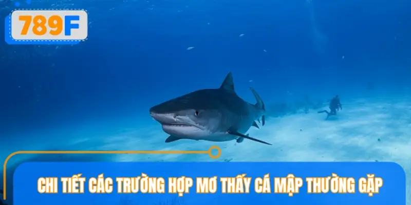 Chi tiết các trường hợp mơ thấy cá mập thường gặp