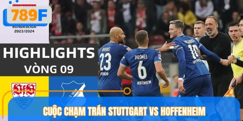 Cuộc chạm trán Stuttgart vs Hoffenheim trước giờ bóng lăn