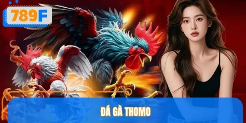 Đá Gà Thomo 789F – Cập Nhật Trận Đấu Mới Nhất Hôm Nay