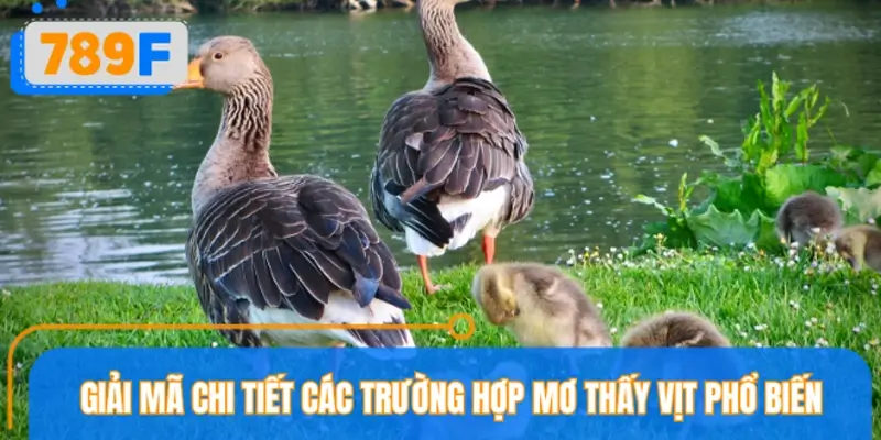 Giải mã chi tiết các trường hợp mơ thấy vịt phổ biến