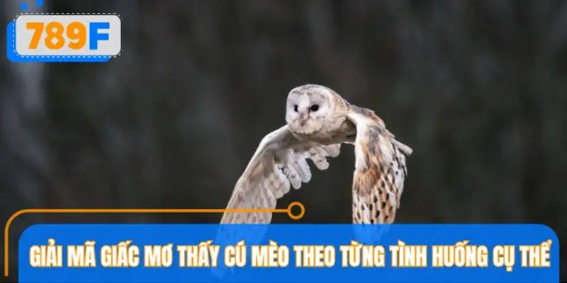 Giải mã giấc mơ thấy cú mèo theo từng tình huống cụ thể