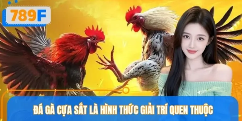 Giới thiệu sơ lược vài thông tin về hình thức đá gà cựa sắt
