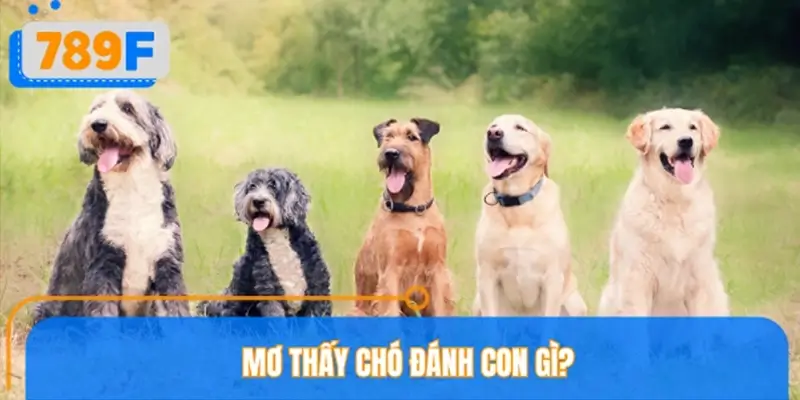 Gợi ý các con con số may mắn giúp người chơi thắng lớn