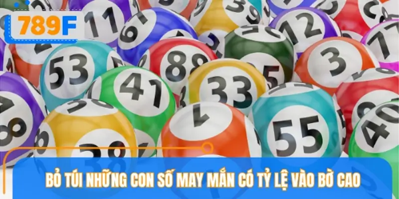 Gợi ý các con số may mắn khi chiêm bao gặp hổ