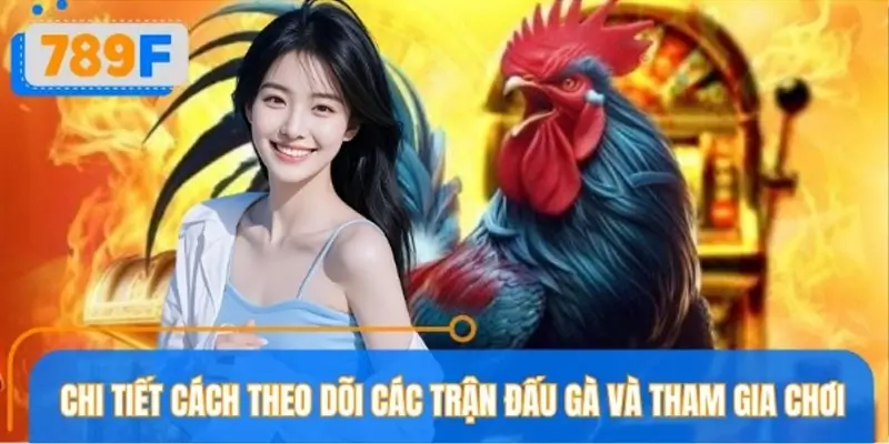 Hướng dẫn cập nhật nhanh các trận đấu gà mới và tham gia