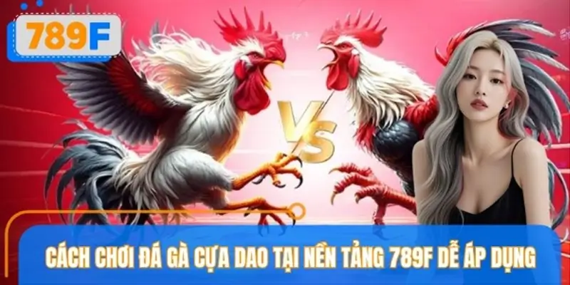 Hướng dẫn chi tiết cách chơi đá gà cựa dao theo luật chuẩn