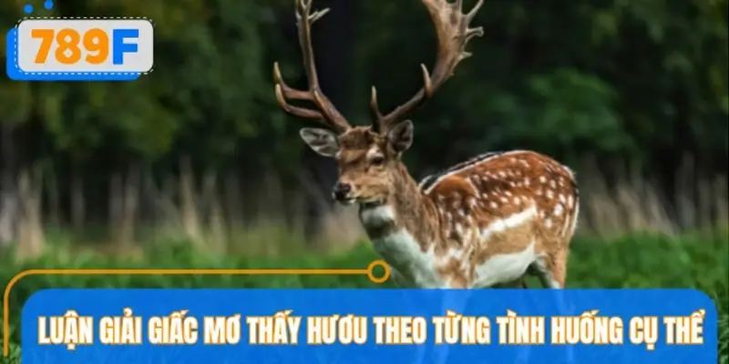 Luận giải giấc mơ thấy hươu theo từng tình huống cụ thể