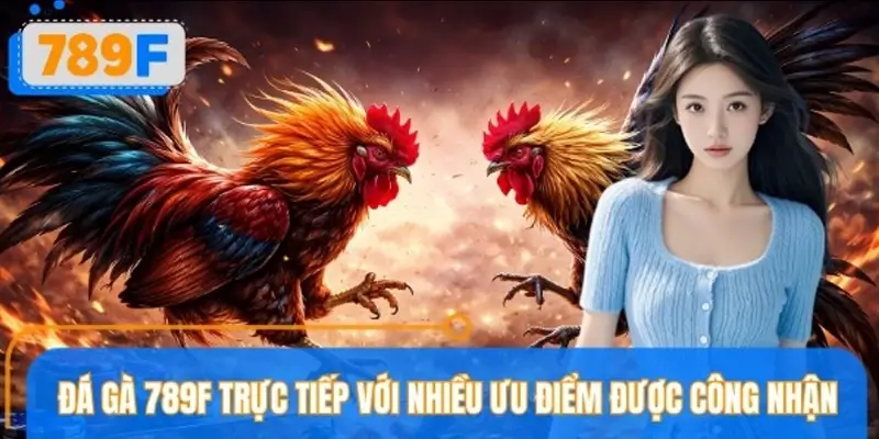 Lý do sảnh đá gà 789F thu hút đông đảo người chơi mỗi ngày