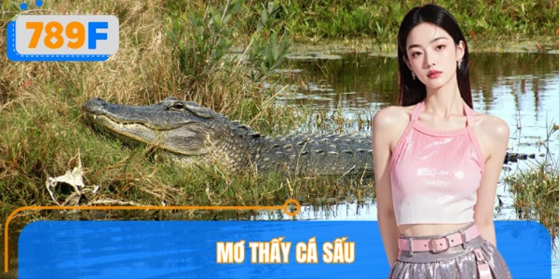 Mơ Thấy Cá Sấu Đánh Số Gì? 789F Giải Mã Giấc Mơ Nguy Hiểm