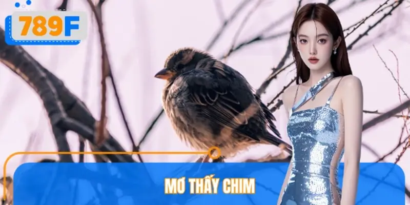 Mơ Thấy Chim Đánh Số Gì? 789F Giải Mã Theo Phong Thủy