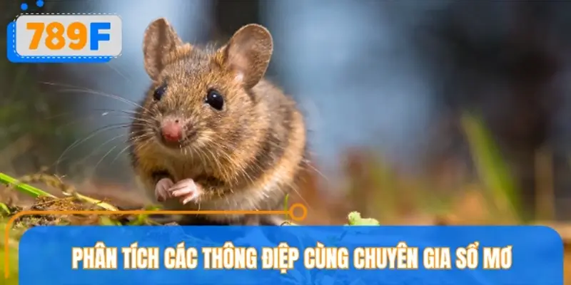 Mơ thấy chuột - Giải mã thông điệp cùng chuyên gia 789F
