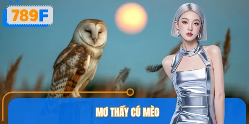 Mơ Thấy Cú Mèo Đánh Số Gì? 789F Giải Mã Điềm Báo Dân Gian