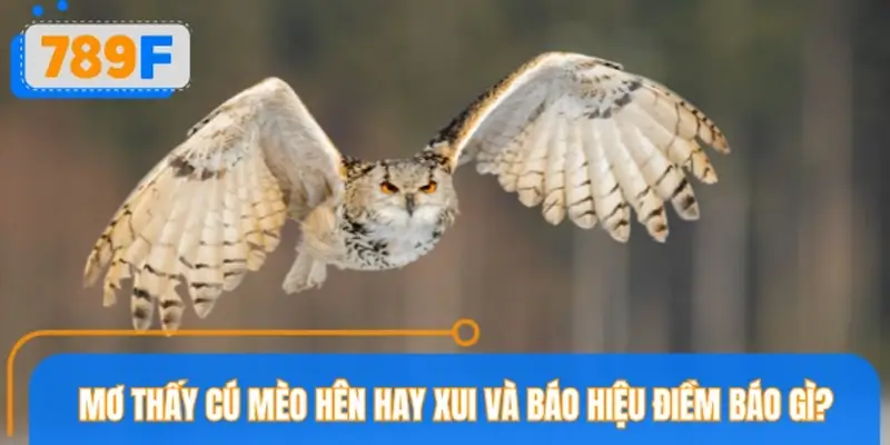 Mơ thấy cú mèo hên hay xui và báo hiệu điềm báo gì?