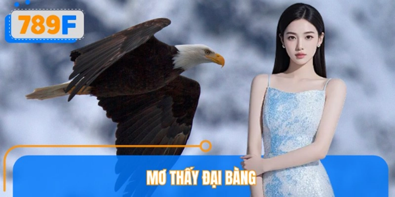 Mơ Thấy Đại Bàng Đánh Số Gì? 789F Giải Mã Quyền Lực May Mắn