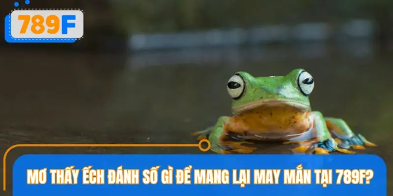 Mơ thấy ếch đánh số gì để mang lại may mắn tại nhà cái 789F?