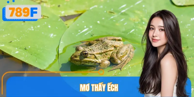 Mơ Thấy Ếch Đánh Số Gì? Giải Mã Giấc Mơ Chi Tiết 2026