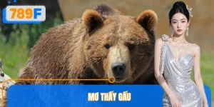 Mơ Thấy Gấu Đánh Số Gì? 789F Giải Mã Giấc Mơ Quyền Lực