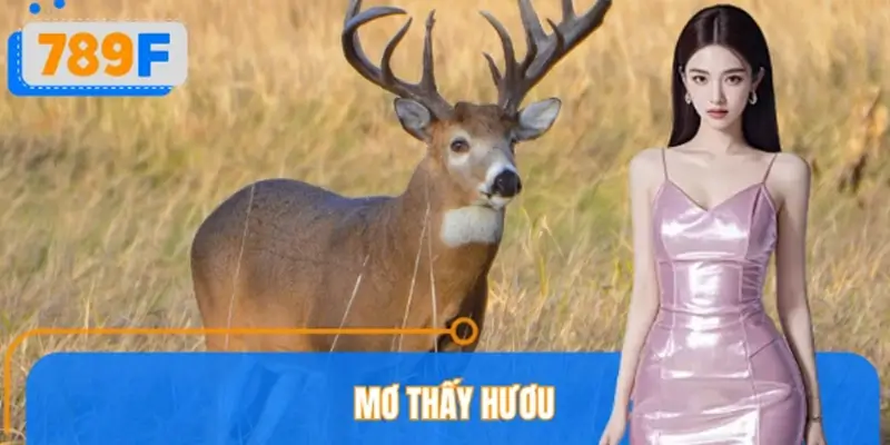 Mơ Thấy Hươu Đánh Số Gì? 789F Giải Mã Giấc Mơ Về Tài Lộc