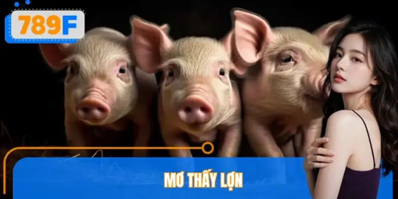 Mơ Thấy Lợn Đánh Số Gì? Giải Mã Tài Lộc Trong Giấc Mơ Ở 789F