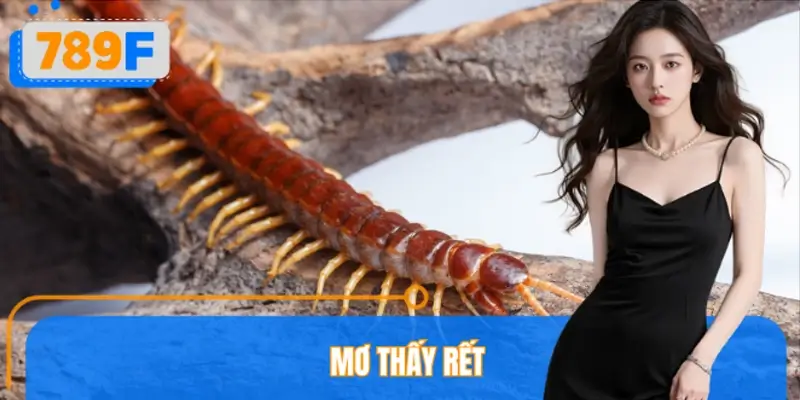 Mơ Thấy Rết Đánh Số Gì? Con Số Liên Quan Trong Lô Đề 789F