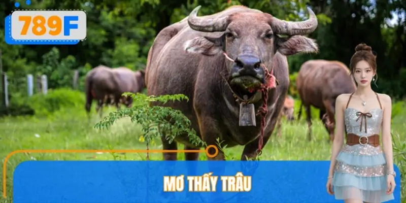 Mơ Thấy Trâu Đánh Số Gì? 789F Giải Mã Giấc Mơ Theo Dân Gian