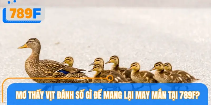 Mơ thấy vịt đánh số gì để mang lại may mắn tại 789F? Mơ thấy vịt đánh số gì để mang lại may mắn tại 789F?