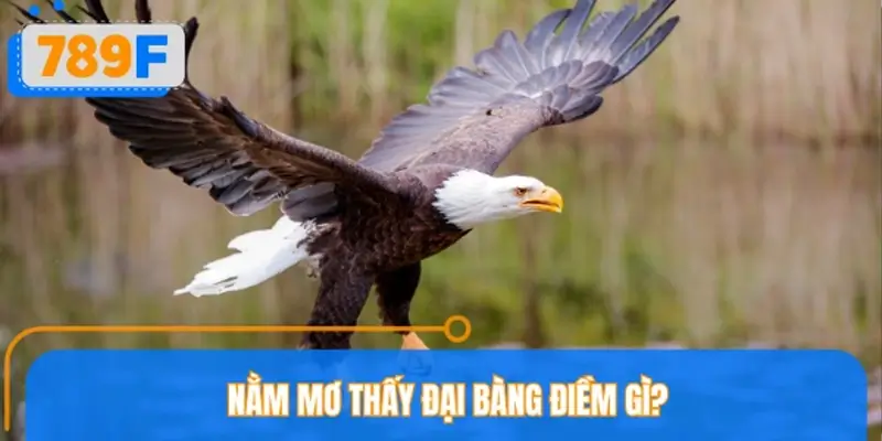 Nằm mơ thấy đại bàng điềm gì?