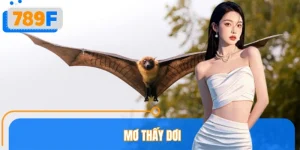 Nằm Mơ Thấy Dơi Đánh Số Gì? 789F Ý Nghĩa Tốt Hay Xấu