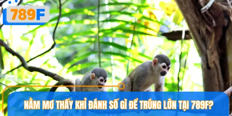 Nằm mơ thấy khỉ đánh số gì để trúng lớn tại nền tảng 789F?