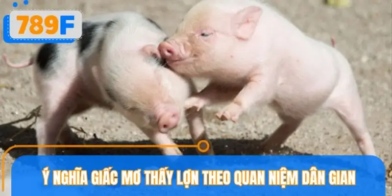 Nằm mơ thấy lợn báo tin vui hay lời nhắc cần lưu tâm? Nằm mơ thấy lợn báo tin vui hay lời nhắc cần lưu tâm?