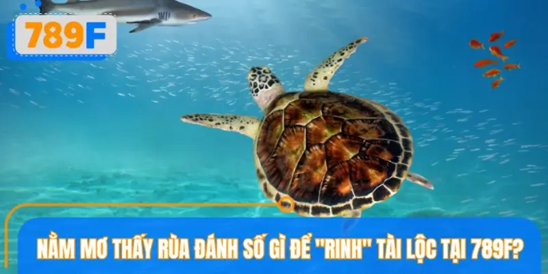 Nằm mơ thấy rùa đánh số gì để "rinh" tài lộc tại nhà cái 789F?