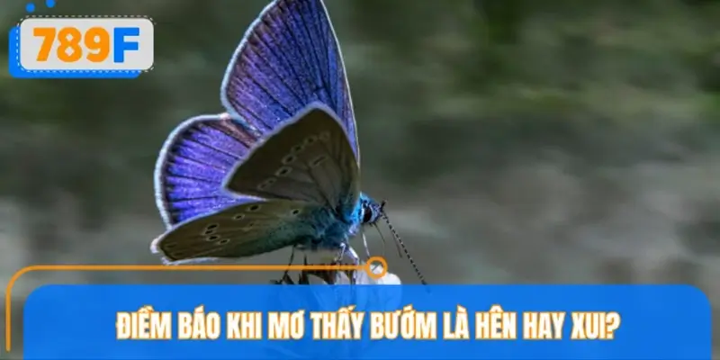 Ngủ mơ thấy bướm nên đánh con số tài lộc gì?