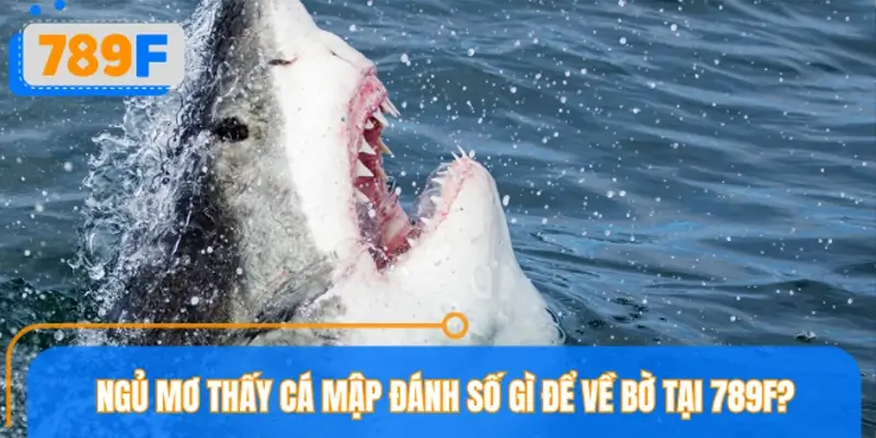 Ngủ mơ thấy cá mập đánh số gì để về bờ tại 789F?