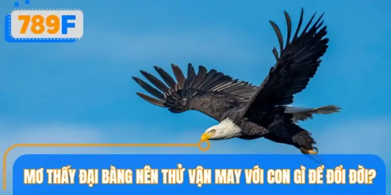 Ngủ mơ thấy đại bàng nên thử vận may với con gì để đổi đời?