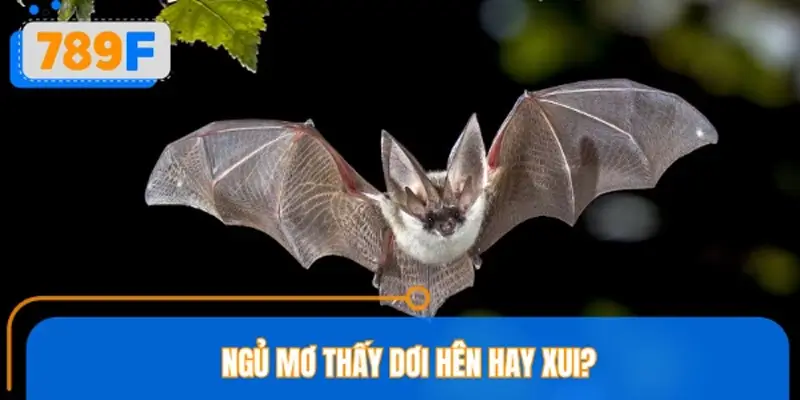 Ngủ mơ thấy dơi hên hay xui?