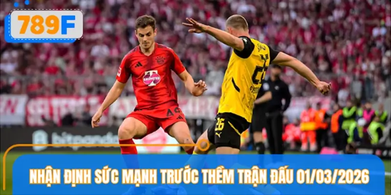 Nhận định sức mạnh hiện tại trước thềm trận đấu 01/03/2026