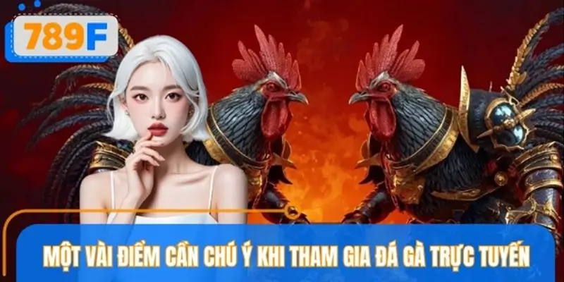 Những lưu ý quan trọng cần biết khi tham gia đá gà online