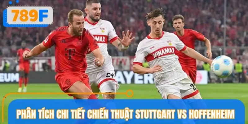 Phân tích chi tiết chiến thuật Stuttgart vs Hoffenheim