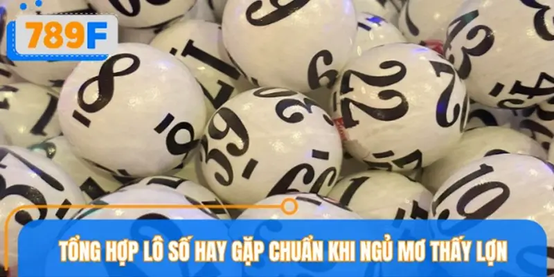 Phân tích con lô xuất hiện trong giấc mơ thấy lợn Phân tích con lô xuất hiện trong giấc mơ thấy lợn