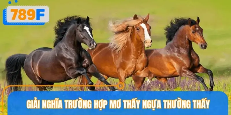 Phân tích sâu từng tình huống khi mơ thấy ngựa Phân tích sâu từng tình huống khi mơ thấy ngựa