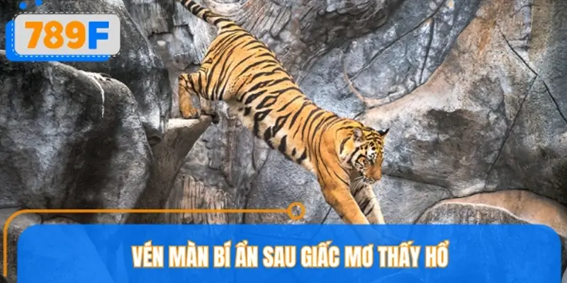 Thông điệp của từng giấc mơ thấy hổ cùng chuyên gia 789F