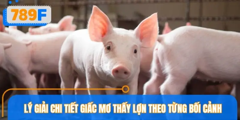 Tổng quan các trường hợp mơ thấy lớn chi tiết Tổng quan các trường hợp mơ thấy lớn chi tiết