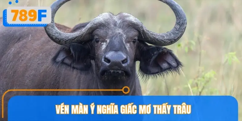 Ý nghĩa mơ thấy trâu theo tâm linh